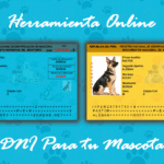 Crea un DNI para tu mascota de forma online (Parte Reverso)