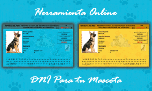 Crea un DNI para tu mascota de forma online (Parte Reverso)